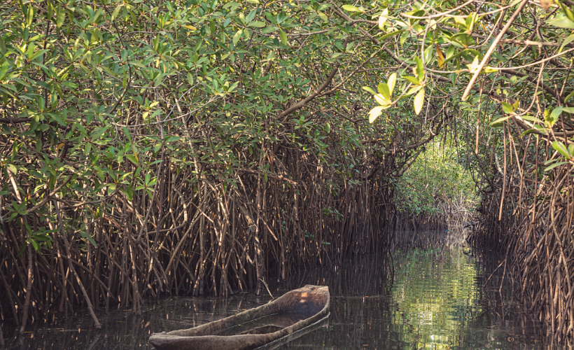 Gambia