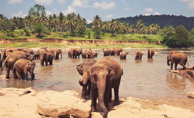 Sri Lanka